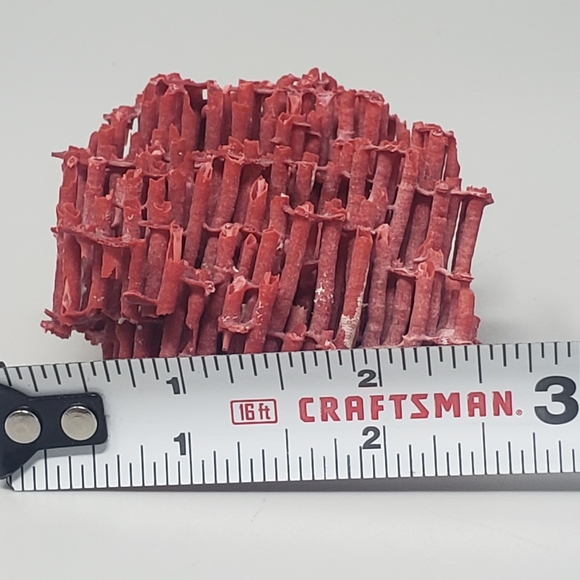 Natural Red Coral Reef - Picture 5 of 8